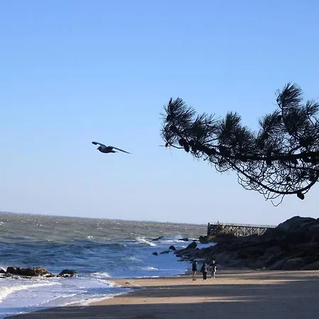 펜션 Maisonnette 2 Pieces 100m De La De La Clere